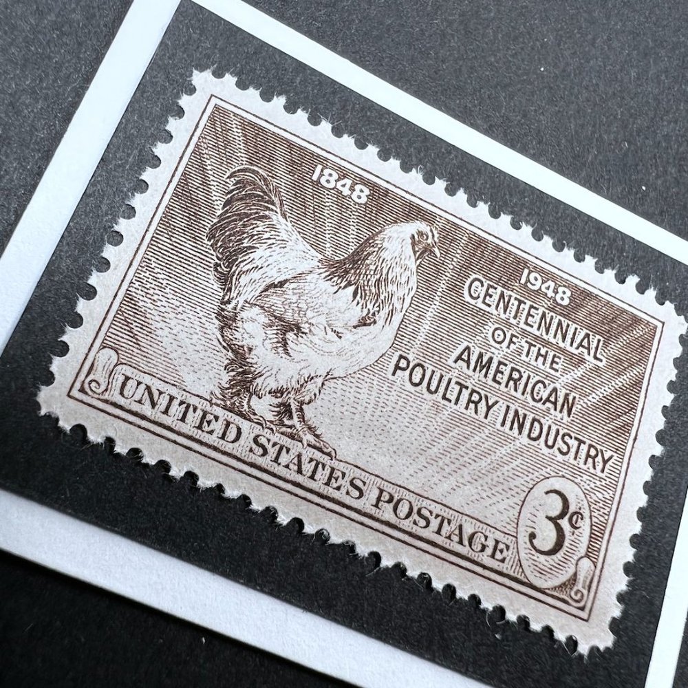 Poultry Framed Postage Stamp Art 4x4 USA #968
